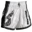 Muay Thai Pantaloni scurți REVGEAR Legends Valhalla - alb/negru