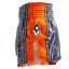 Muay Thai šortky REVGEAR Legends Spirit