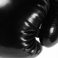 Revgear Pinnacle 2.0 – boxerské rukavice – sivá