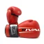 Boxing gloves RIVAL RS 60V 2.0 Workout - red