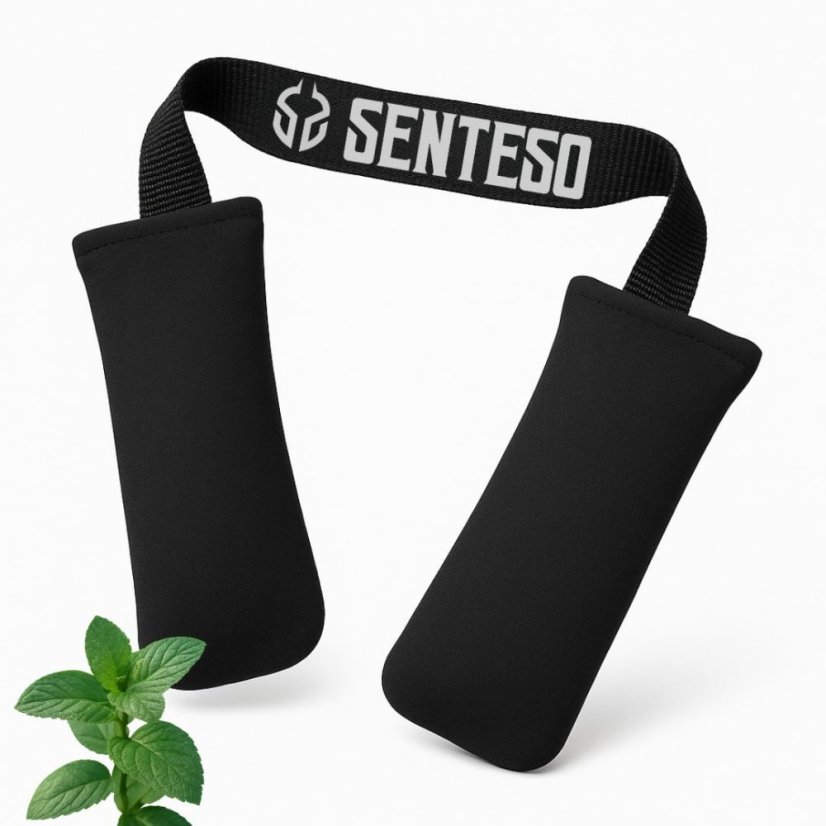 Dezodorizér boxerských rukavíc SENTESO - Vôňa: Peppermint