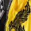 Muay Thai Pantaloni scurți REVGEAR Legends Valhalla - galben/negru - Mărime: XXS