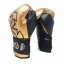Boxerské rukavice RIVAL RS11V Evolution - zlatá