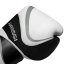 Boxing gloves HAYABUSA H5 - White/Grey - Weight of gloves: L/16oz