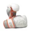 Boxerské rukavice Rival RS80V Impulse - Orange - Váha rukavic v Oz: 16oz