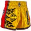 Muay Thai shorts REVGEAR Legends Spirit - yellow/orange