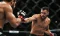 Kvalita vs. cena: Co zvážit při výběru MMA rukavic?
