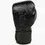 Boxing gloves Fairtex BGV14 - nero