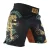 MMA shorts PRiDEorDiE Unleashed