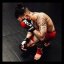 MMA gloves RDX T6 - red