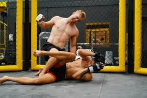 MMA kesztyűk különböző szintekre