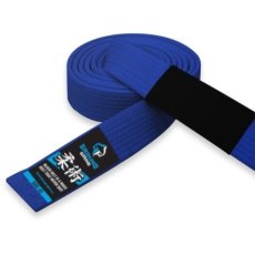 Pas do BJJ Ground Game
