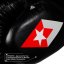 Mănuși de box profesionale REVGEAR F1 Competitor - negre - Greutatea mănușilor în Oz: 10oz