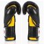 Mănuși de box FAIRTEX BGV9 Stil Mexican – negru/galben