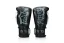 Boxerské rukavice Fairtex - Booster FXB BG V2 - černá/bílá