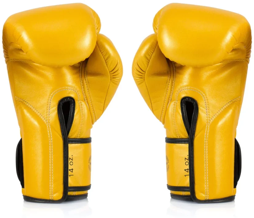 Fairtex BGV18 Super Sparring Boxing Gloves – Gold