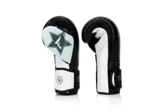 Boxerské rukavice Fairtex FXB BG V2 - černá/bílá