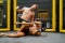 MMA rukavice pre rôzne úrovne