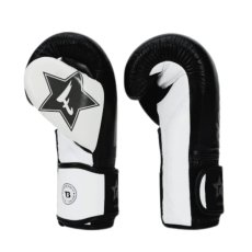 Boxerské rukavice Fairtex - Booster FXB BG V2 - černá/bílá