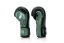 Boxing gloves Fairtex - Booster FXB BG V2 - black/green - Weight of gloves: 10oz
