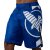 MMA kraťasy Hayabusa Icon Fight - modrá