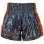 Muay Thai šortky REVGEAR Legends Spirit - sivá/oranžová