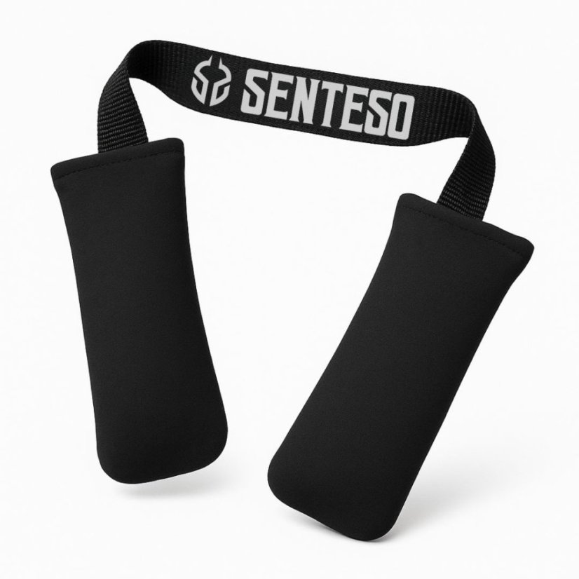 SENTESO Deodorizer - Universal Moisture & Odor Absorber (Bamboo Charcoal)