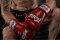 Fairtex BGV1 recenze: thajská klasika