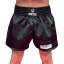 Muay Thai šortky Senteso a HG&GT - Veľkosť: L