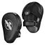 Hayabusa PTS3 Focus Mitts Boxpratzen