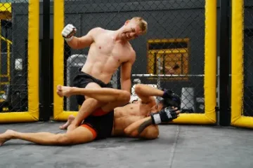 Rękawice MMA dla różnych poziomów