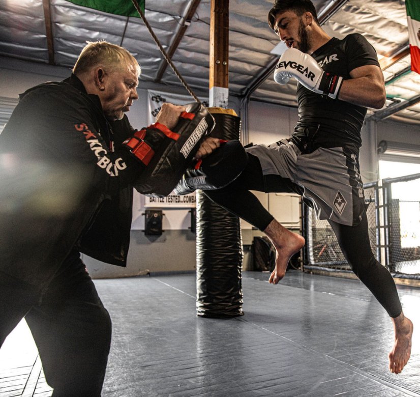 Revgear Stealth Hybrid MMA šortky – navy/černá