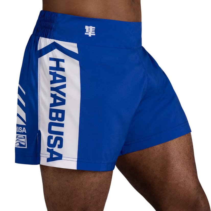Šortky Hayabusa Ikon Kickboxing