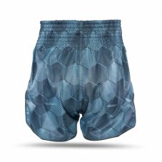 Fairtex x Booster Muay Thai Shorts FXB Stealth – Grau