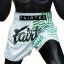 Fairtex Muay Thai Shorts Racer – White - Size: L