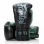 Boxing gloves Fairtex - Booster FXB BG V2 - black/green - Weight of gloves: 10oz