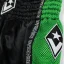 Pantaloni scurti Muay Thai pentru copii REVGEAR Ranked - verde
