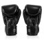 Boxing gloves Fairtex BGV1 – ONE –  Black - Weight of gloves: 10oz