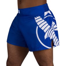 Šortky Hayabusa Ikon Kickboxing