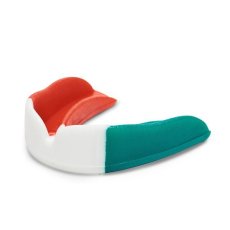 Proteza dentara Leone  Titan PD520