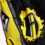 Pantaloni scurți Muay Thai pentru copii REVGEAR Ranked - galben