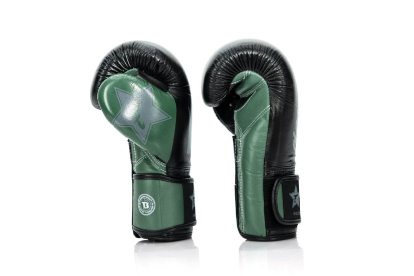 Boxing gloves Fairtex - Booster FXB BG V2 - black/green - Weight of gloves: 10oz