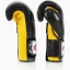 Boxerské rukavice FAIRTEX BGV9 Mexican Style