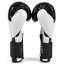 Revgear Pinnacle 2.0 rękawice bokserskie – biały