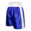 Senteso Competition Professional Boxing Shorts