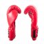 Cleto Reyes Velcro boxing gloves - red