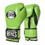 Boxing gloves Cleto Reyes Velcro Training - light green - Weight of gloves: 14oz