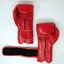 Boxerské rukavice Cleto Reyes Velcro Training