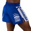 Šortky Hayabusa Ikon Kickboxing