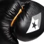 Boxerské rukavice REVGEAR S5 All Rounder - čierna/zlatá - Hmotnosť rukavíc v Oz: 14oz